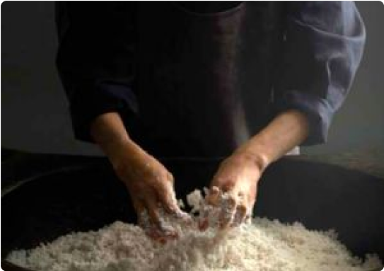 Japanese brewers' hands in fermented sake mash